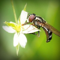/album/radyosaray/photolia-a02-jpg/