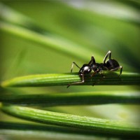/album/radyosaray/photolia-a05-jpg/