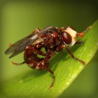 /album/radyosaray/photolia-a06-jpg/