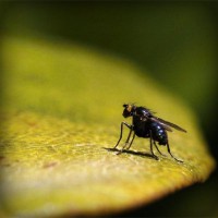 /album/radyosaray/photolia-a07-jpg/