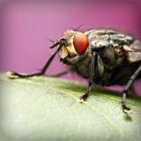 /album/radyosaray/photolia-a08-jpg/